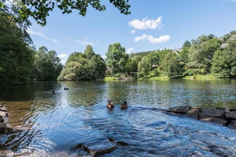 Schwarzwald-Traum Mit Pool Und Sauna Unterkirnach Екстериор снимка